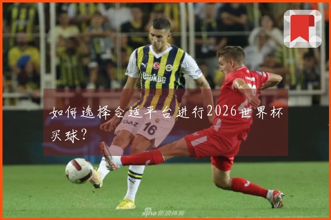如何选择合适平台进行2026世界杯买球？
