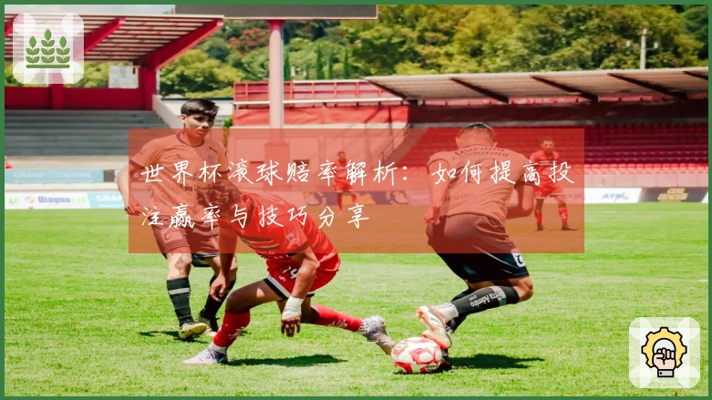 世界杯滚球赔率解析：如何提高投注赢率与技巧分享