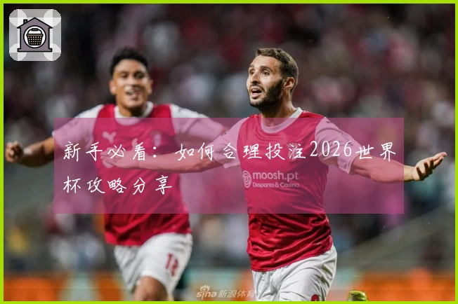 新手必看：如何合理投注2026世界杯攻略分享