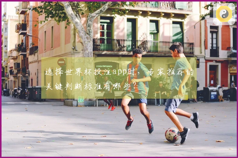 选择世界杯投注app时，专家推荐的关键判断标准有哪些？