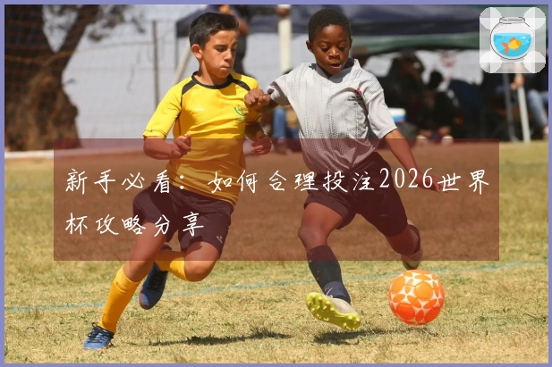 新手必看：如何合理投注2026世界杯攻略分享