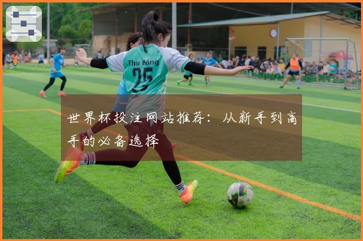 世界杯投注网站推荐：从新手到高手的必备选择