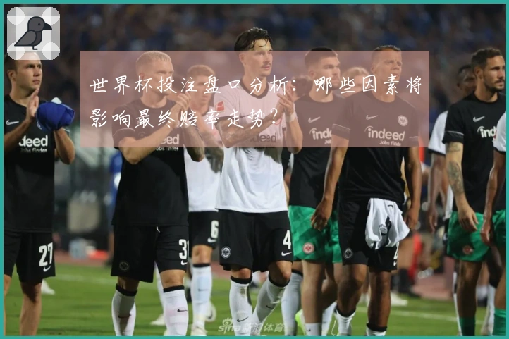 世界杯投注盘口分析：哪些因素将影响最终赔率走势？