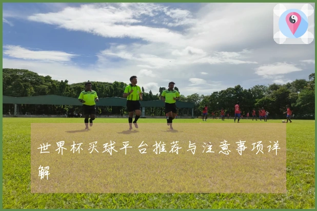 世界杯买球平台推荐与注意事项详解