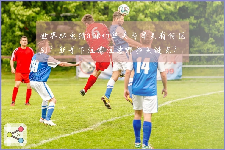 世界杯竞猜app的单关与串关有何区别？新手下注需注意哪些关键点？