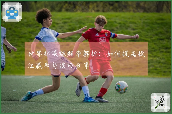 世界杯滚球赔率解析：如何提高投注赢率与技巧分享