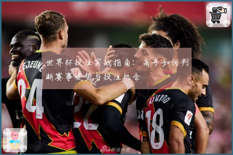 世界杯投注实战指南：高手如何判断赛事走势与投注机会