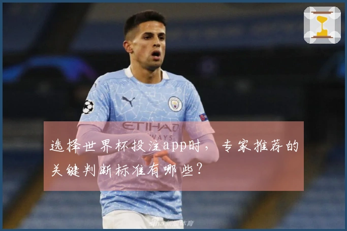 选择世界杯投注app时，专家推荐的关键判断标准有哪些？