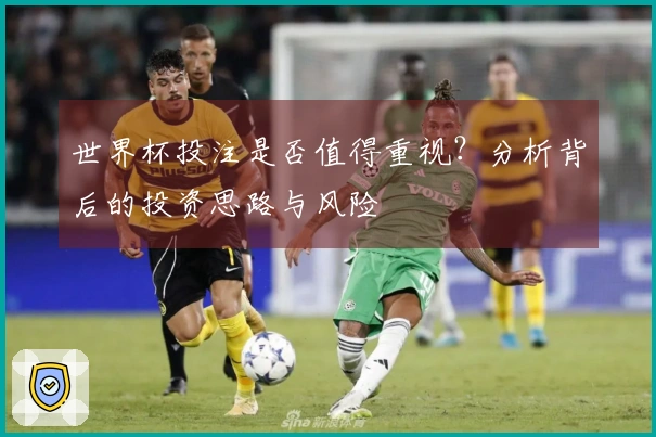 世界杯投注是否值得重视？分析背后的投资思路与风险