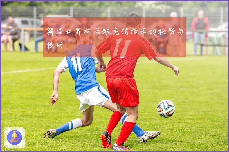 解读世界杯买球竞猜赔率的秘密与技巧