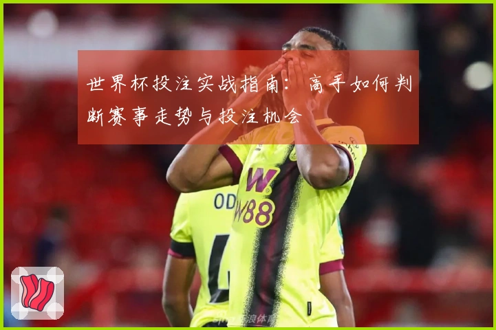 世界杯投注实战指南：高手如何判断赛事走势与投注机会