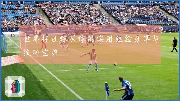 世界杯让球买球的实用经验分享与技巧宝典