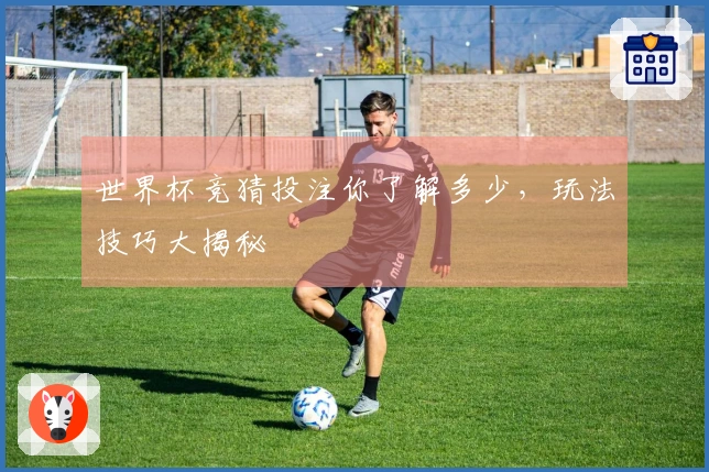 世界杯竞猜投注你了解多少，玩法技巧大揭秘
