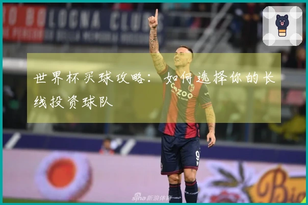 世界杯买球攻略：如何选择你的长线投资球队