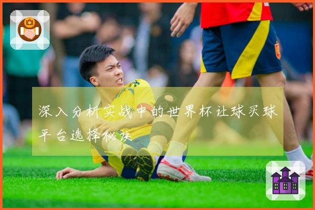 深入分析实战中的世界杯让球买球平台选择秘诀