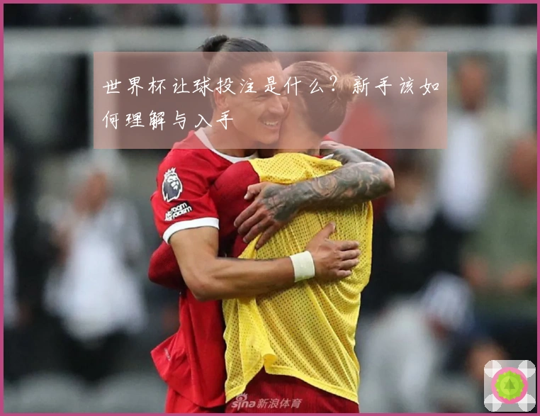 世界杯让球投注是什么?新手该如何理解与入手