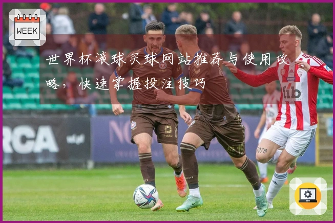 世界杯滚球买球网站推荐与使用攻略，快速掌握投注技巧