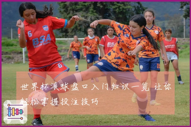 世界杯滚球盘口入门知识一览 让你轻松掌握投注技巧
